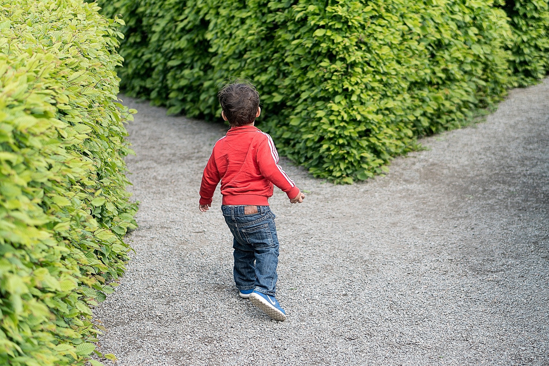 Childhood and Youth are VANITY